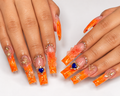 Collection Corail Royal
